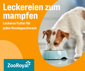 Tag des Hundes